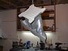 Yay, its finally making progress.-im001585.jpg