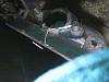 Look at this can of worms-picture043.jpg