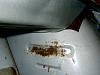 Here are my PICS!!!!-project-rx7-035.jpg