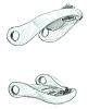 Incredible QA-1 Coil Over Dealio...-arm.jpg