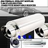 Quiet yet straight through exhaust:  POSSIBLE!!!-muffler_fireball.jpg