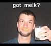 Can't get into any gear!-gotmelk.jpg