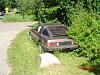 how much would you pay?-dsc00010.jpg