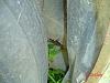 how much would you pay?-dsc00015.jpg