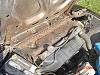 how much would you pay?-dsc00017.jpg
