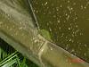 how much would you pay?-dsc00021.jpg