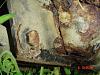 how much would you pay?-dsc00023.jpg