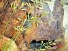 how much would you pay?-dsc00024.jpg