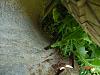 how much would you pay?-dsc00026.jpg