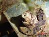 how much would you pay?-dsc00028.jpg