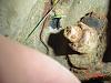 how much would you pay?-dsc00030.jpg