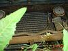 how much would you pay?-dsc00032.jpg