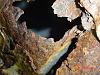how much would you pay?-dsc00033.jpg