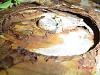 how much would you pay?-dsc00034.jpg