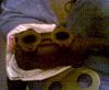 What are these black spots on the exhaust gasket.-picture-001.jpg