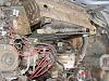 What do you guys think?-dsc00177.jpg