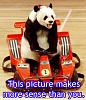 Quiet yet straight through exhaust:  POSSIBLE!!!-panda%2520makes%2520more%2520sense.jpg