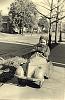 Your/My first car.-my-first-car-.jpg