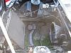 my fb-img_0079.jpg