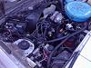 Got new pictures-p4180025.jpg