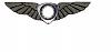Alright an extremely weird request.-rotor-wings-tattoo.jpg