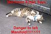 NOS question-manifold_danger.jpg
