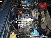 ? on Wheels-picture-049.jpg