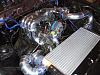 How big is your FMIC-small-engine-bay.jpg