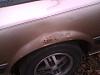went and picked up and 85 gsl.-12.jpg