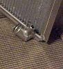 Looking for a rad that will support 400hp, but retain stock mounting points.-al-radiator-outlet-tube-detail-fuzzy.jpg