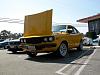 To paint or not to paint?-052904-rx31.jpg