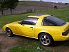 To paint or not to paint?-targa-003.jpg