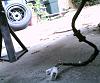 Need Help Finishing My Engine Swap!!-pict0139.jpg