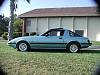 ocean blue vs. tender blue-85rx051901av.jpg