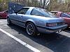 Rare Colors-dsc02676.jpg