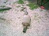 Exhaust work-phto0002.jpg