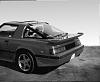 Got my body kit and also my spoiler !-whale-spoiler.jpg