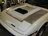 i need a TII hood for my gsl se-dscn1378-copy.jpg