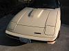 hood scoop-img_1643-medium-.jpg