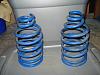 ID-ing springs-dsc00216.jpg