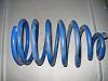 ID-ing springs-dsc00217.jpg
