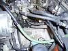 HELP with rats nest removal-sa400224.jpg