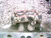 stock intake.-phto0028.jpg