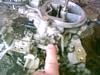 stock intake.-phto0047.jpg
