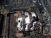 Project Keiko Part VIII - Week of crazyness-04-engine-drivers-side-2.jpg