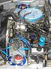 Where are the pics on the SA rats nest  removal?-rats-nest-removal-2.jpg