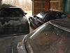 Winter Storage Concerns-lucy09_009.jpg
