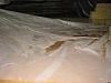 Winter Storage Concerns-lucy05_005.jpg