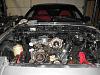Post pics of your Engine Bay!-img_1446.jpg