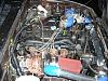 Post pics of your Engine Bay!-1.jpg